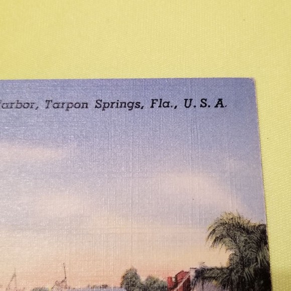 1950's Postcard TS33 Sponge Fleet in Harbor Florida - Picture 4 of 10